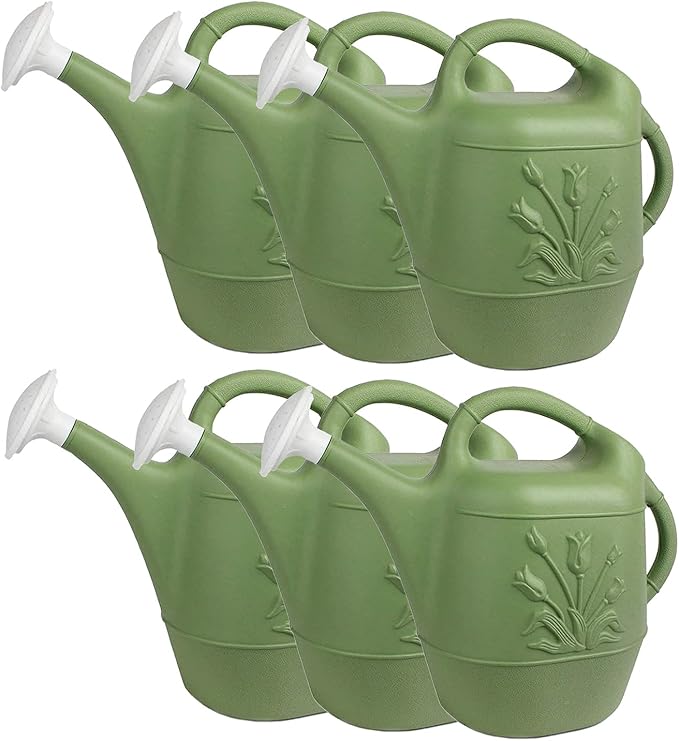 PMU 2 Gallon Watering Can - Garden Watering Can for Indoor & Outdoor Plants - Plastic Water Can with Detachable Sprinkler Head - Large Water Pot, Made in USA - Sage Green Pkg/6