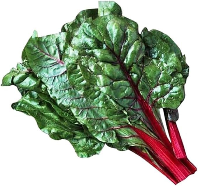 Rhubarb Swiss Chard - Delicious and Nutritious… - Delicious and Nutritious - Approximately 175 Seeds
