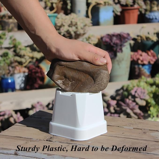 BangQiao 40 Pack 3.65 Inch White Plastic Square Nursery Seedlings Pot for Succulent, Cutting, Transplanting