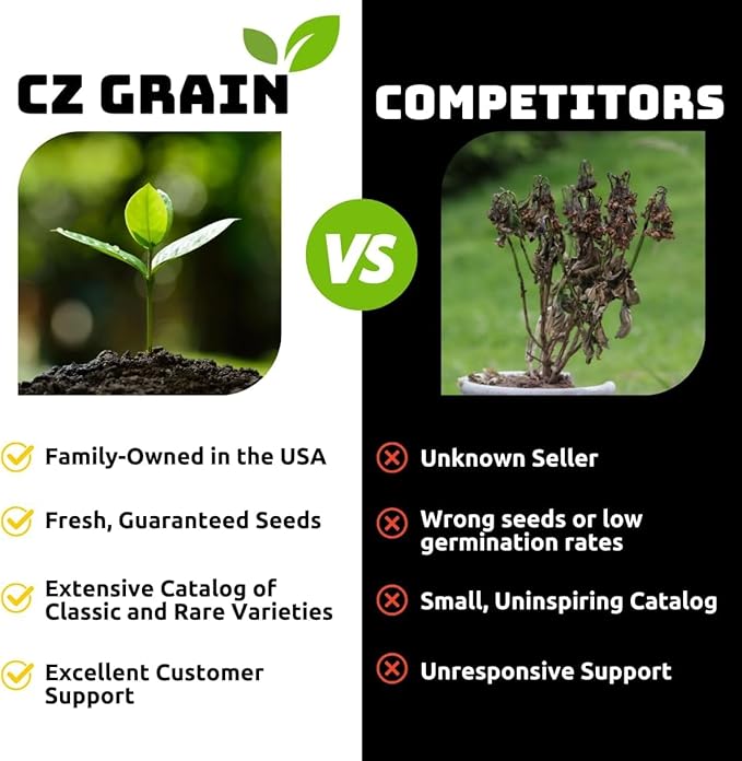 Eversong Weeping Willow Bonsai Tree Cutting to Grow - Thick Trunk Cutting, Fast Growing- Great Gift