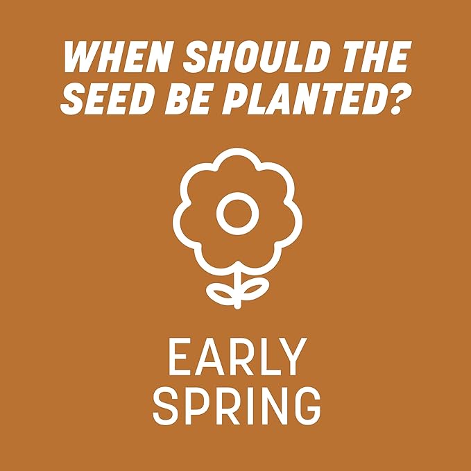 Pennington 100532365 Centipede Grass Seed & Mulch 5 LB, Black Label