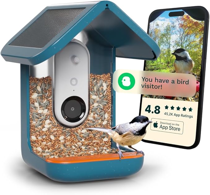 Bird Buddy Solar Smart Bird Feeder with Camera - AI Bird Species Identification, 5MP Photos, 2K HD Video Live Stream Camera, Solar-Powered Charging, 2.8in Focus - Blue
