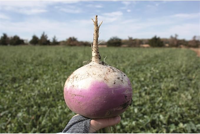 Ani-Logics Outdoors Seeds of Science Pro Brassica Blend (8)