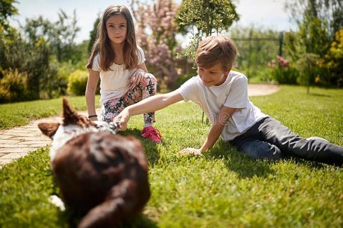 Pennington Signature Series Tall Fescue Blend Blue Tag 50 lb Grass Seed Partial Sun