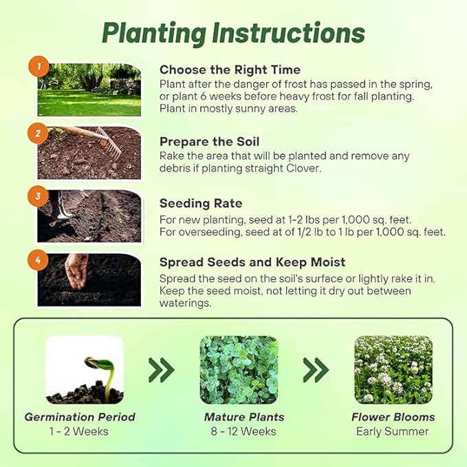 Outsidepride Perennial White Dutch Clover Seed - 40 lbs. Nitrocoated, Inoculated Clover Seeds for Lawn Alternative, Erosion Control, Food Plots, Ground Cover, & Pasture Mixtures in USDA Zones 3-10