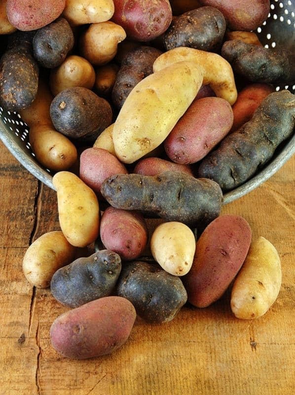 Fingerling Certified Seed Potato Mix 2LB Whole Potatoes Great for Organic Gardeners Easy to Grow