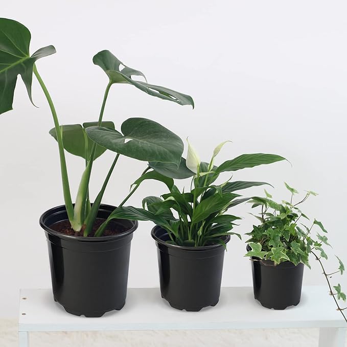 RAOOKIF 50 Pack Nursery Pots, 3 Inch Nursery Pot for Plants, Small Plastic Plant Pots with Drainage Holes, Garden Flower Pots for Transplanting, Succulents, Cuttings, Seedlings(3inch,50pcs)