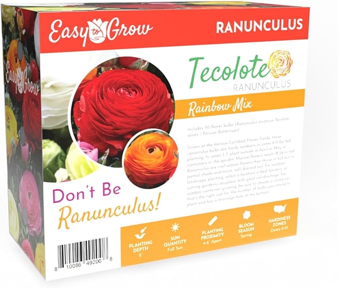Easy to Grow Ranunculus Tecolote Rainbow Mix - 50 Plant Bulbs Value of Mixed Color Flowers in Spring, Full Sun Mediterranean