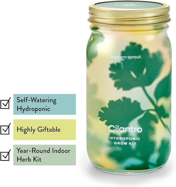 Modern Sprout Mason Garden Jar - Self-Watering Hydroponics Growing System Kit with Organic Herb Seeds - Jar Planter for Indoor Herb Garden - Seed Starter Kit - Home Decor & Gifting - Basil+Cilantro