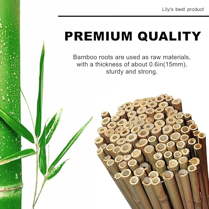 HOPELF 50 Pack 3ft Bamboo Plant Stakes for Wood Garden Sticks,Wooden Plant Supports,Bamboos,Trellis,Crafts, More Size Choices 8"/12"/16"//2'/3'/4'/5'/6'
