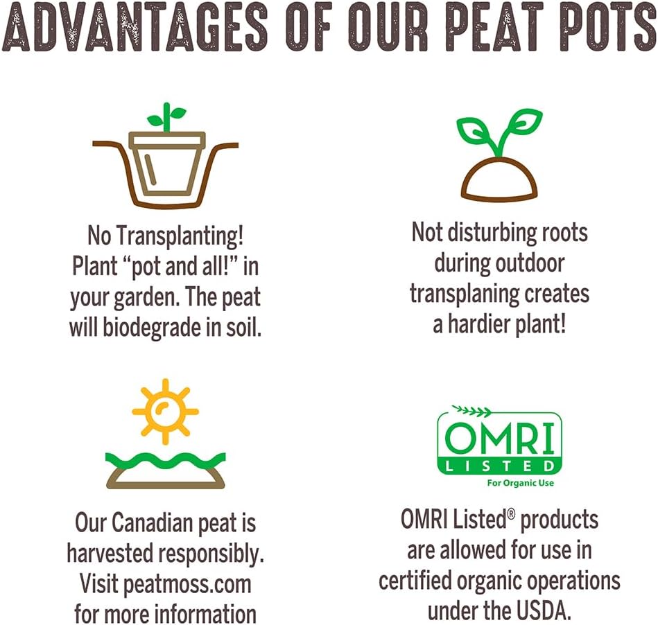 Jiffy Organic Seed Starting 5" Biodegradable Peat Pots (100 Pots)