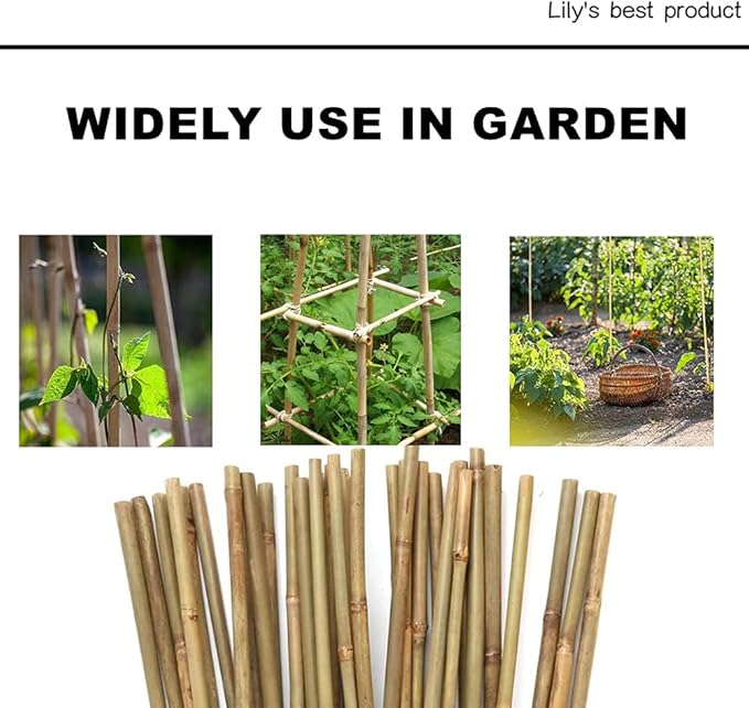 50 Pack 5ft Bamboo Plant Stakes for Wood Garden Sticks,Wooden Plant Supports,Bamboos,Bamboo Trellis,Crafts, More Size Choices 8"/12"/16"//2'/3'/4'/5'/6'