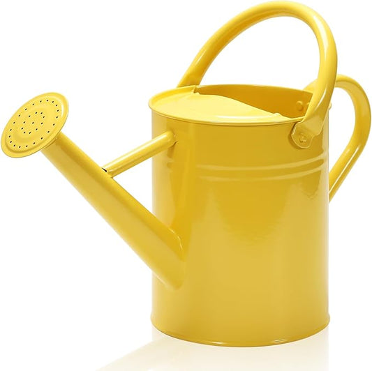 Metal Watering Can with Removable Spout, Galvanized, Perfect for Indoor and Outdoor Use (1 Gallon, Yellow)