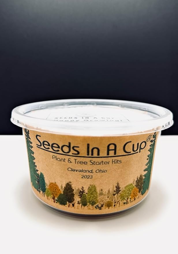 Tree Grow Kit | Easy to use | Educational | Memorial Gift | Plant It for The Planet | Grow Your Own Tree |Wide Selection to Choose from (BlackBerry)