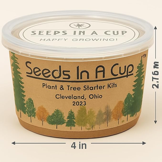 Date Palm | Seeds In A Cup: Date Palm Tree Starter Kit | Easy to use | Educational | Thoughtful Gift | Great Gift Idea | Plant It for The Planet | Grow Your Own Tree |