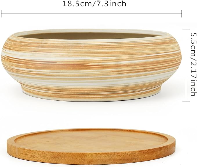 ARTKETTY Succulent Pots - Ceramic Bonsai Pots with Drainage Tray, 7.3 Inch Large Plant Pots Shallow Succulent Planters for Indoor Plants Decorative Cactus Flower Planter Bowl