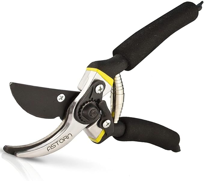 Astorn 8" Premium Bypass Pruning Shears for Gardening - Heavy Duty, Ultra Sharp Garden Shears w/Ergonomic Soft Grip Handle - Made with High-Grade Carbon Steel - Ideal for Cutting, Gardening & Trimming