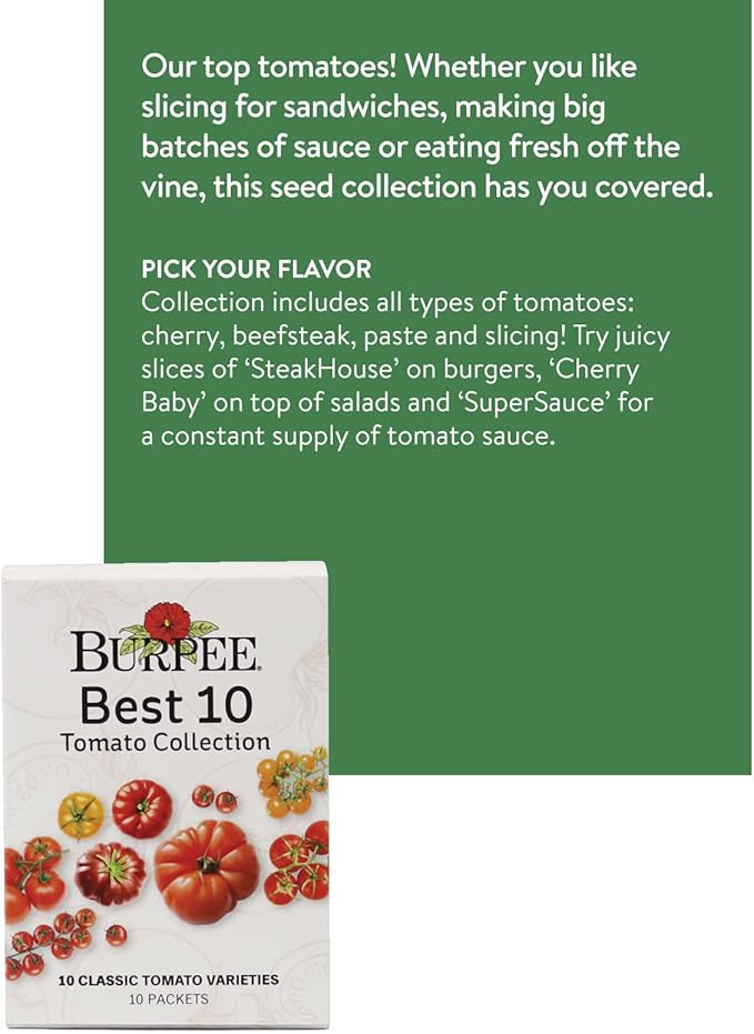 Burpee Best 10 Non-GMO Planting Tomato Seeds for Garden Gifts (1 Pack)
