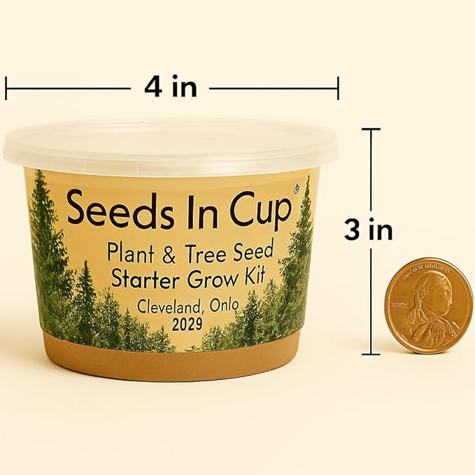 Black Locust Tree Starter Kit - Easy-to-Use, Educational, Great Gift - Made in USA