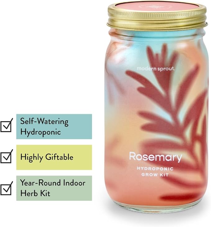 Modern Sprout Mason Garden Jar - Self-Watering Hydroponics Growing System Kit with Organic Herb Seeds - Jar Planter for Indoor Herb Garden - Seed Starter Kit - Home Decor & Gifting - Basil+Rosemary