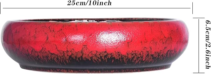 ARTKETTY Succulent Pots - 10 Inch Ceramic Bonsai Pots with Drainage Stand, Large Shallow Planters for Indoor Plants Decorative Garden Cactus Flower Plant Container Bowl