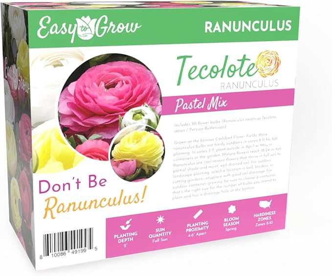 Easy to Grow Ranunculus Tecolote Pastel Mix - 50 Plant Bulbs Value of Pink, Yellow & White Flowers in Spring, Full Sun Mediterranean