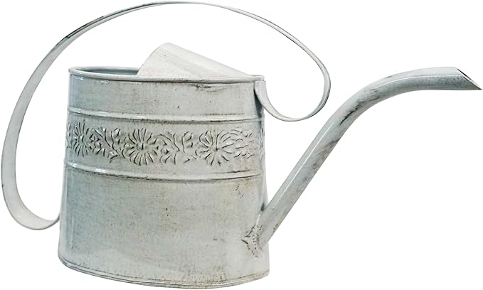 Headwind Willow Antique White 0.5 Gallon Galvanized Decorative Metal Garden Watering Can for Indoor & Outdoor Plant Care โ Vintage Gardening Plant Watering Can by Robert Allen
