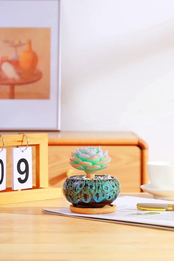 Cute Ceramic Succulent Garden Pots, Planter with Drainage and Attached Saucer, Set of 5 -Plants Not Included (Vivid Colors)