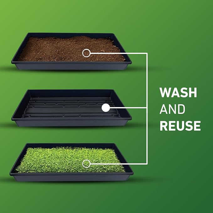 10x20 Inch Black Plastic 10 Pack Plant Propagation Tray – Growing Trays for Garden, Planting, Seedling, Soil & Hydroponic Horticulture - Microgreen Trays Grow Plants - No Drain Holes