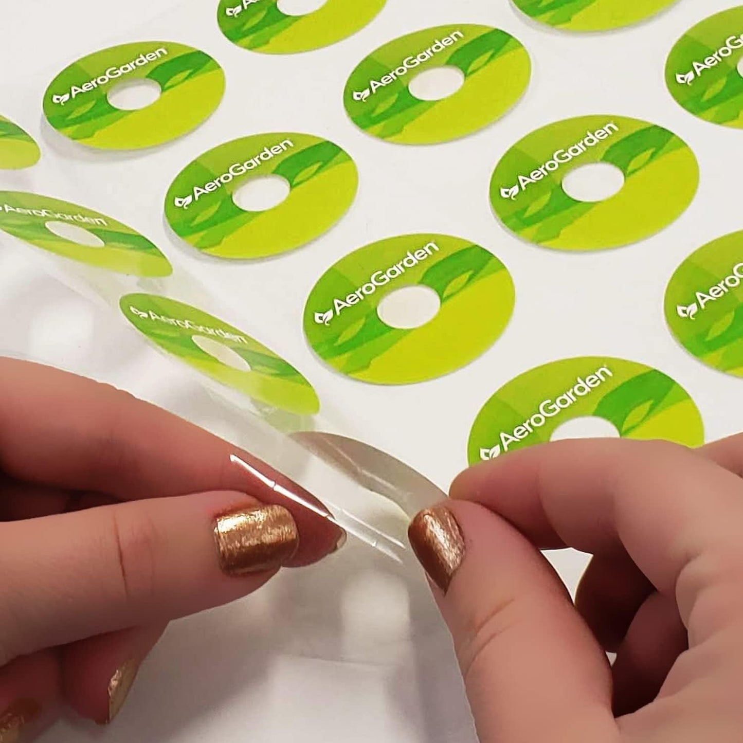 AeroGarden Grow Anything Seed Pod Kit (50-pod)