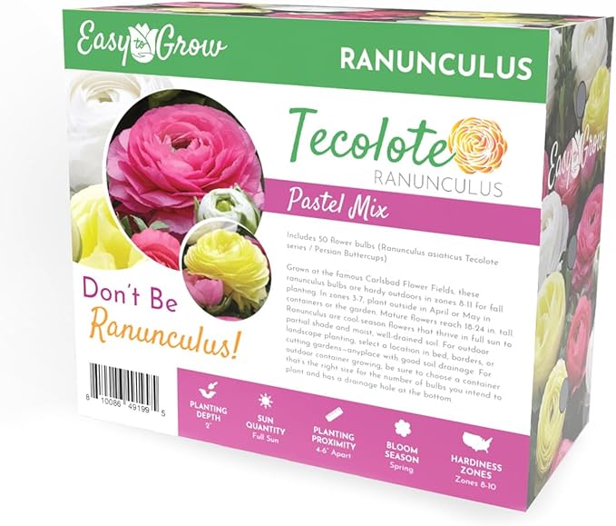 Easy to Grow Ranunculus Tecolote Pastel Mix - 50 Plant Bulbs Value of Pink, Yellow & White Flowers in Spring, Full Sun Mediterranean