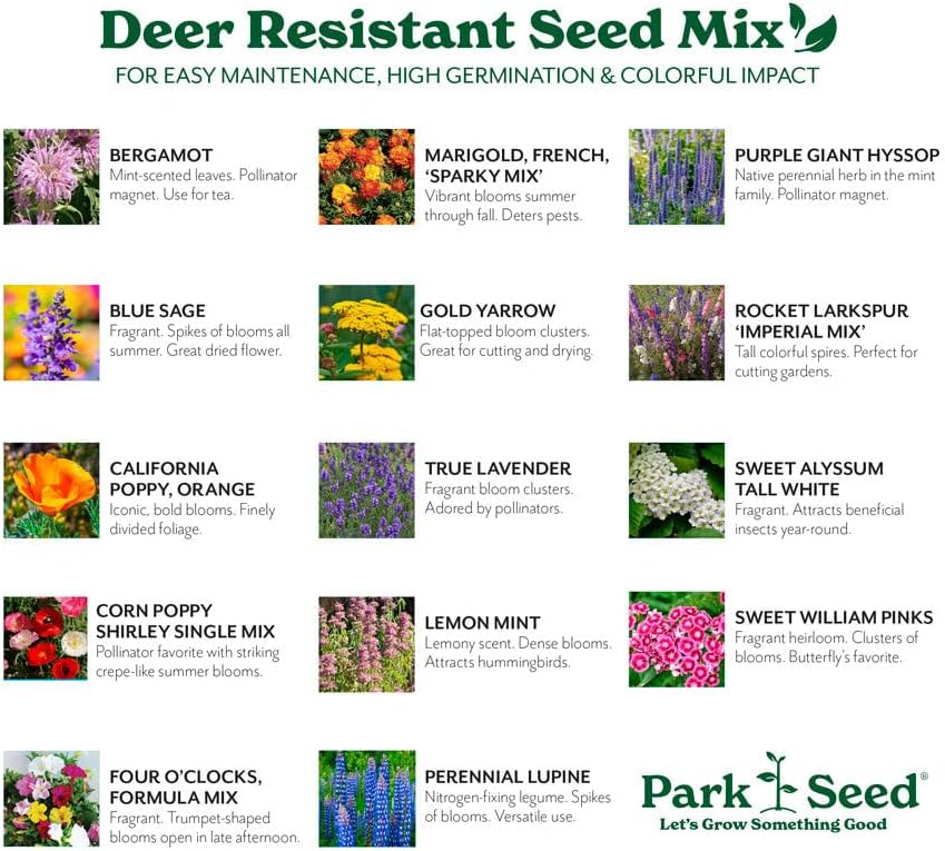 Park Seed Grow Your Own Vibrant Annual and Perennial Wildflower Garden Seed Mixture, Easy to Grow Varieties for Pollinators and Spring Gardens - Deer Resistant Mix, 10 lbs