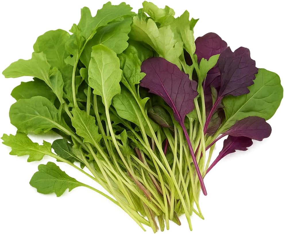 Greens Seedlings: Ready-to-Plant Seedlings, Starts, Plugs, Garden-Ready, Live Plants, Transplants, Pre-sprouted, for Soil & Hydroponic Gardens (Medium (36 seedlings))