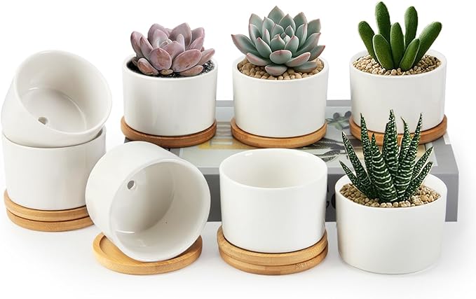 ZOUTOG Succulent Pots 3.1 Inch,8 Pack Succulent Planters,Small Pots for Plants with Drainage and Tray,White Ceramic Flower Planters for Indoor Plants,Home,Office,Desk