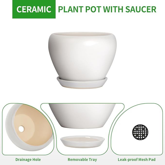 Deep Dream 6 Inch Plant Pot - Ceramic Planter with Drainage Hole and Trays, Modern Round Flower Pot, Planters for Indoor Outdoor Plants, Home Garden Decor, White