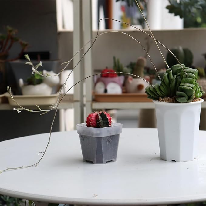 BangQiao 100 Pack 2.55 Inch Small Clear Plastic Square Nursery and Seedling Pot with Drain Hole for Germination, Cactus, Herb, Succulent