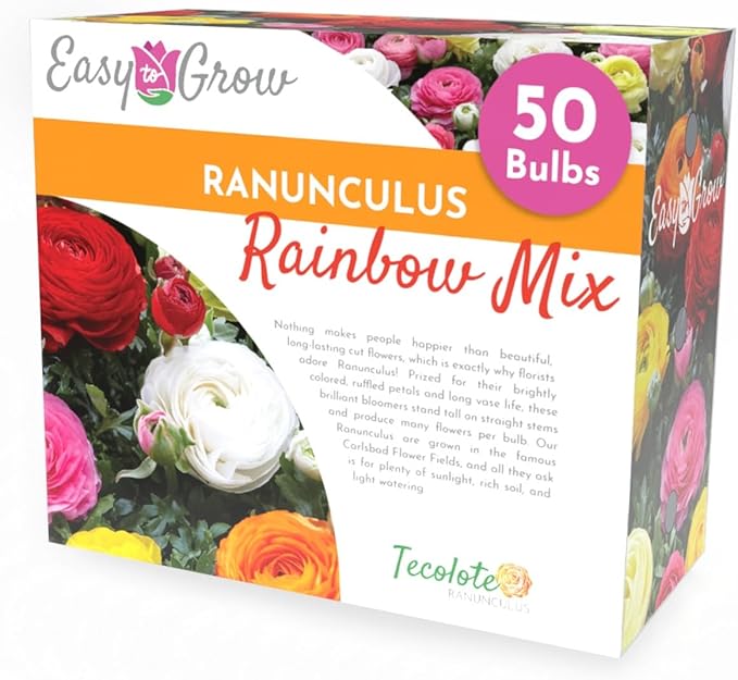 Easy to Grow Ranunculus Tecolote Rainbow Mix - 50 Plant Bulbs Value of Mixed Color Flowers in Spring, Full Sun Mediterranean