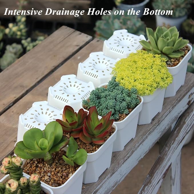 BangQiao 60 Pack 3.15 Inch Small White Plastic Square Nursery and Seedling Pot with Drainage Hole for Germination, Cactus, Herb, Succulent