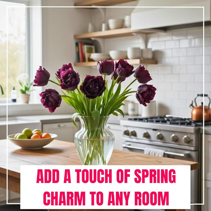 10 Tulip Bulbs for Fall Planting Bulk, Tulip Bulb, Perennial Flower Bulbs for Garden Growing, Tulip Bulbs Bulk (Black Parrot)