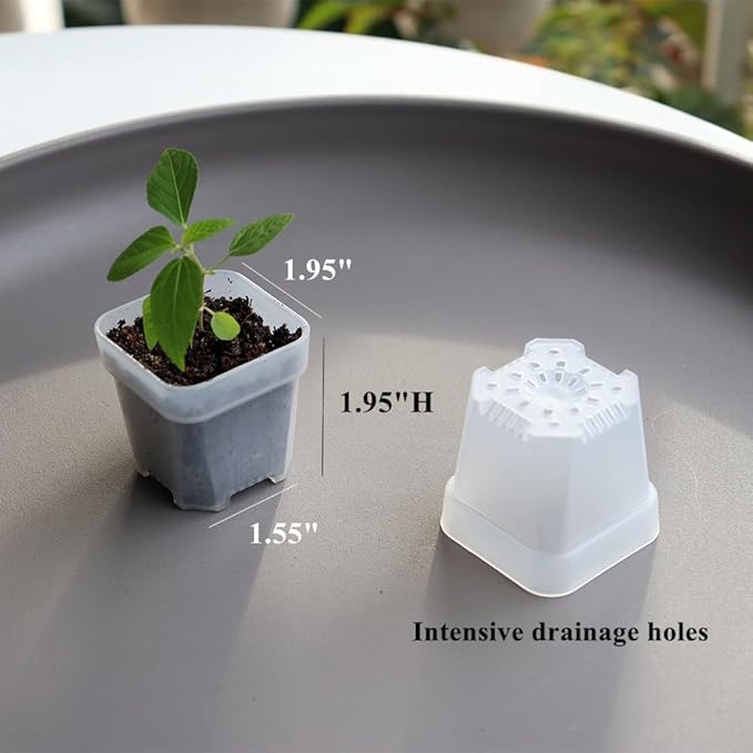 BangQiao 200 Pack 1.95 Inch Tiny Clear Plastic Square Nursery and Seedling Pot, Mini Transplant Seed Starter Planter with Drain Hole for Germination, Herb, Succulent