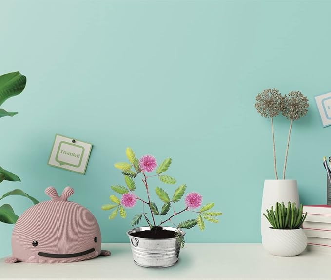 BUZZY Seeds Mini Basin Sensitive Plant Grow Kit, Interactive Leaves Move When Touched, Flower Starter Kit for Kids and Adults | Indoor Gardening Gift, DIY Home Project