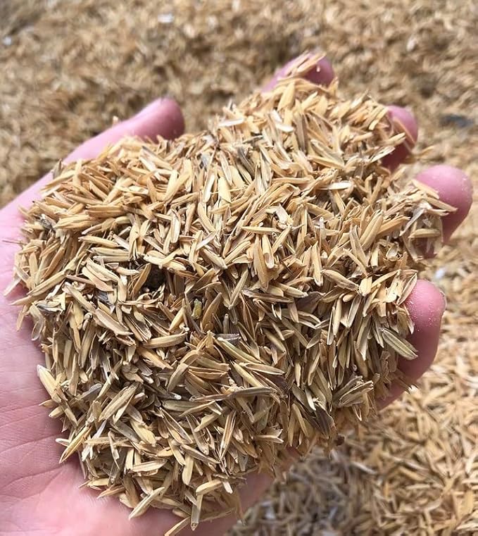 Gardenera Rice Hulls for Potting Applications - Promote Root Development, Water Efficiency, and Disease Resistance - 5 QUARTS