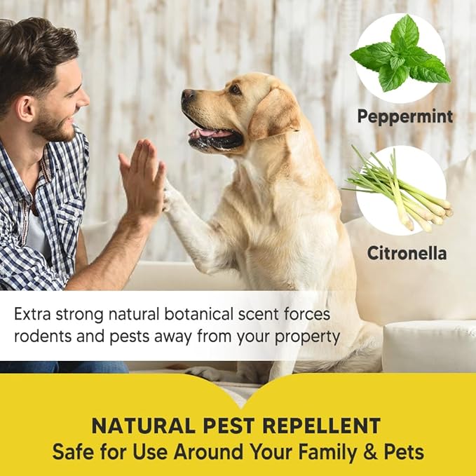 Pest Control, Mouse Repellent Indoor, Rodent Repellent Outdoor, Spider Repellent Indoor, Rat Repellent, Mice Repellent Indoor, Repel Ants, Roaches, Spiders, Moths & Other Pests-8P