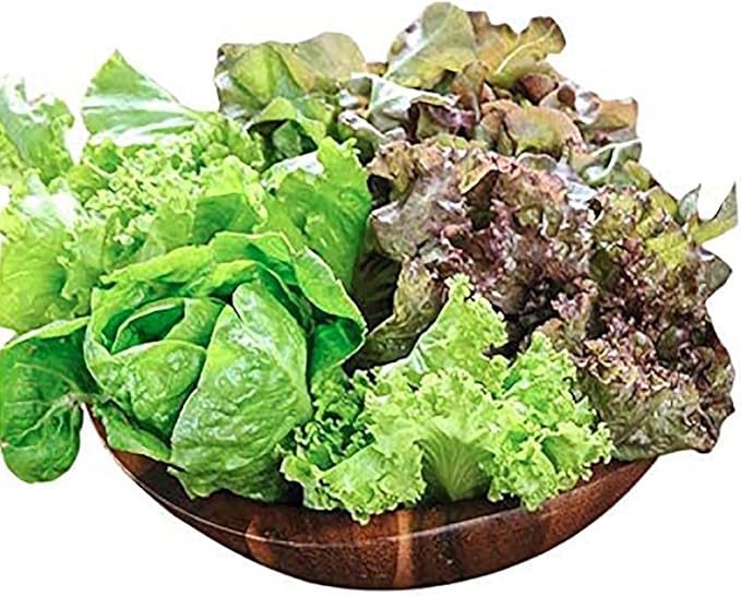 Lettuce Seed Mix of 9 Greens - Mesclun Mix - Fall Crop and Cool Season Planting