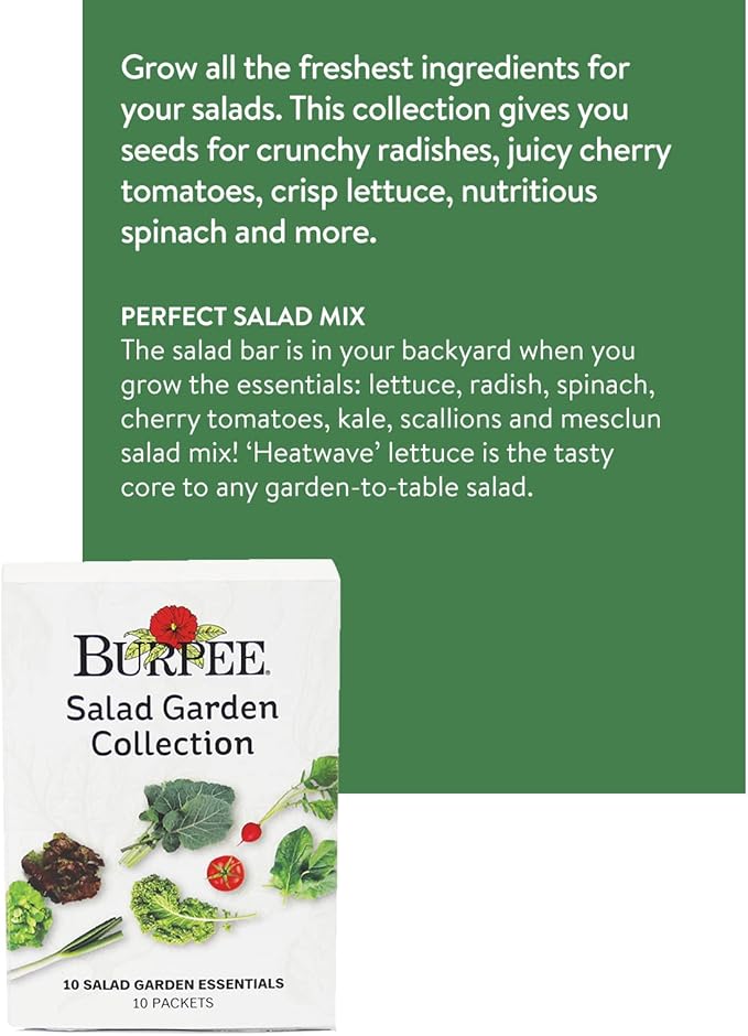 Burpee Salad Garden Collection 10 Packets of Non-GMO 4 Lettuce Varieties Tomato, Radish, Spinach, Kale, Scallions & Mesclun Mix | Seeds for Planting Vegetables