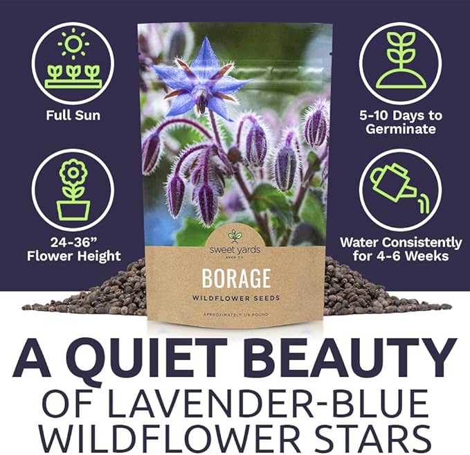Borage Seeds – Bulk Quarter Pound Bag – Over 5,000 Open Pollinated Non-GMO Wildflower Seeds – Borago officianalis