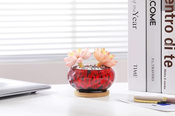 Cute Ceramic Succulent Garden Pots, Planter with Drainage and Attached Saucer, Set of 5 -Plants Not Included (Vivid Colors)