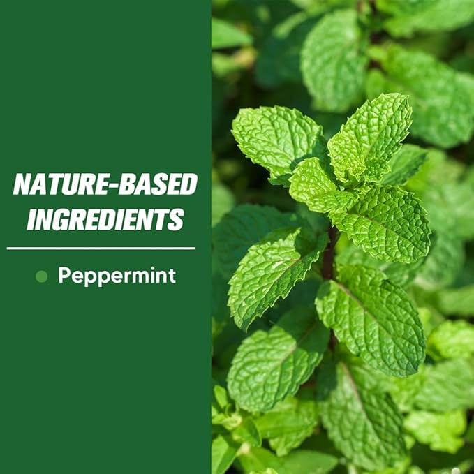 Pest Control, Mouse Repellent Pouches, Rodent Repellent, Mice Repellant Indoor, Peppermint Mice to Repel Spider, Ant, Roach & Mosquito, Rat Repellant Outdoor, Keep Mouse Out of Camper-10P