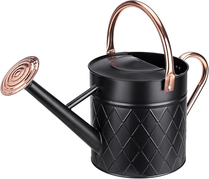 1.75 Gallon Outdoor Metal Watering Can for Garden Plants, Vintage Zinc Watering Can with Removable Spray Spout, Ideal for Outdoor Use (Black)
