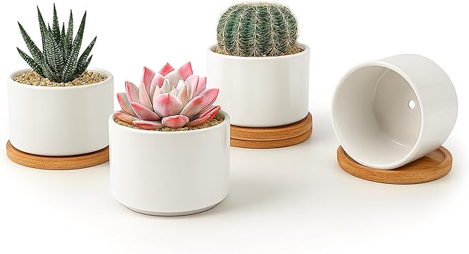 ZOUTOG Succulent Pots 3.15 Inch,4 Pack Succulent Planters,Small Pots for Plants with Drainage and Tray,White Ceramic Flower Planters for Indoor Plants,Home,Office,Desk